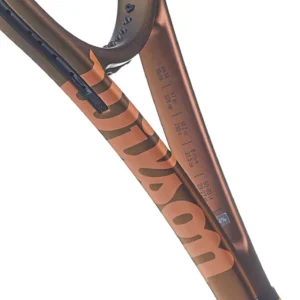 rs-1 rs-1